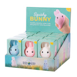 Discovery Zone Squishy Bunny CDU 12pcs/3 Assorted